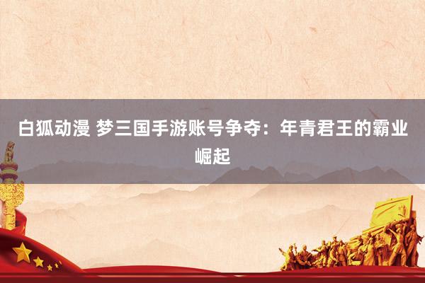 白狐动漫 梦三国手游账号争夺：年青君王的霸业崛起