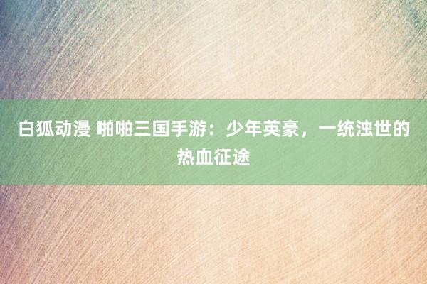 白狐动漫 啪啪三国手游：少年英豪，一统浊世的热血征途