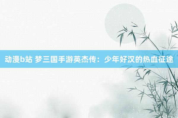 动漫b站 梦三国手游英杰传：少年好汉的热血征途
