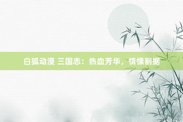 白狐动漫 三国志：热血芳华，情愫割据