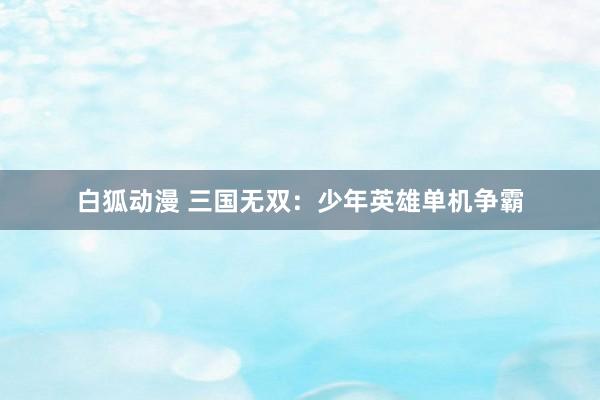 白狐动漫 三国无双：少年英雄单机争霸