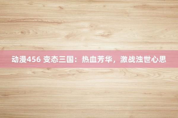 动漫456 变态三国：热血芳华，激战浊世心思