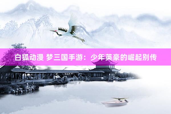 白狐动漫 梦三国手游：少年英豪的崛起别传
