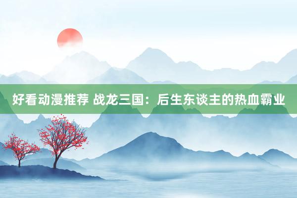好看动漫推荐 战龙三国：后生东谈主的热血霸业