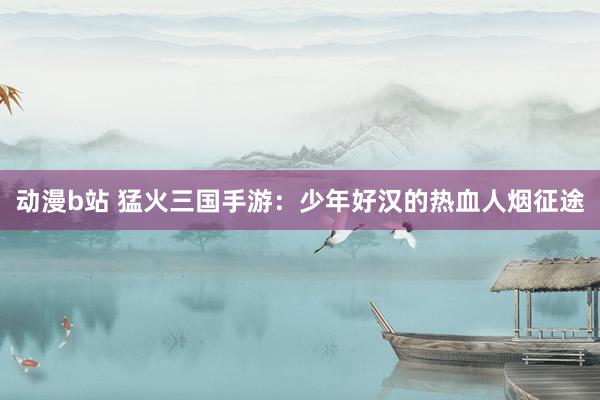 动漫b站 猛火三国手游：少年好汉的热血人烟征途