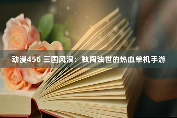 动漫456 三国风浪：独闯浊世的热血单机手游