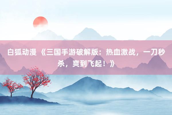 白狐动漫 《三国手游破解版：热血激战，一刀秒杀，爽到飞起！》
