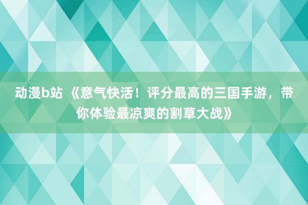 动漫b站 《意气快活！评分最高的三国手游，带你体验最凉爽的割草大战》