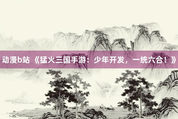 动漫b站 《猛火三国手游：少年开发，一统六合！》