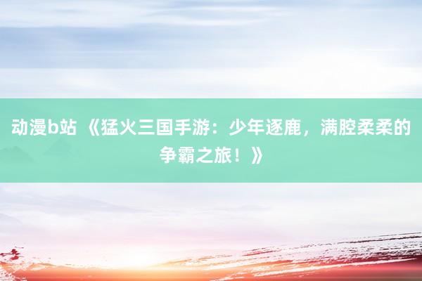 动漫b站 《猛火三国手游：少年逐鹿，满腔柔柔的争霸之旅！》
