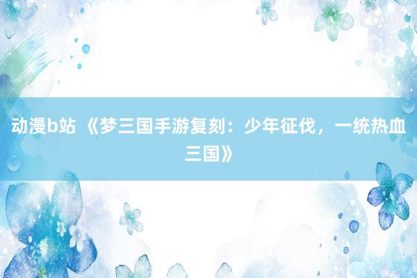 动漫b站 《梦三国手游复刻：少年征伐，一统热血三国》
