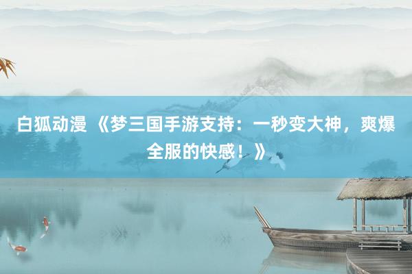 白狐动漫 《梦三国手游支持：一秒变大神，爽爆全服的快感！》