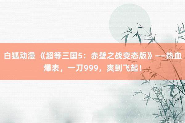 白狐动漫 《超等三国5：赤壁之战变态版》——热血爆表，一刀999，爽到飞起！