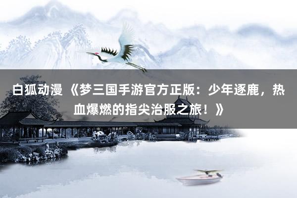 白狐动漫 《梦三国手游官方正版：少年逐鹿，热血爆燃的指尖治服之旅！》